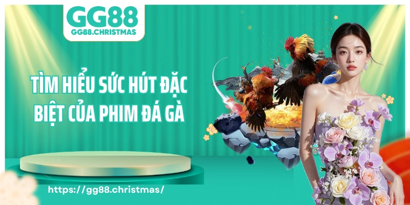 Tìm hiểu sức hút đặc biệt của phim đá gà